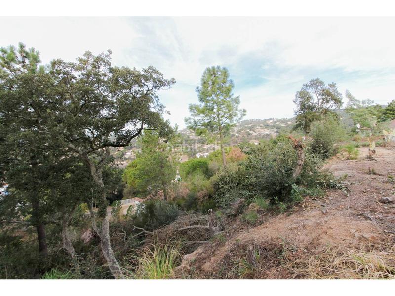 Foto aab5d616-e7eb-47d8-b91e-1230c80bb84a. Rural plot in òrbita 1 in Lloret Residencial - Montlloret Lloret de Mar
