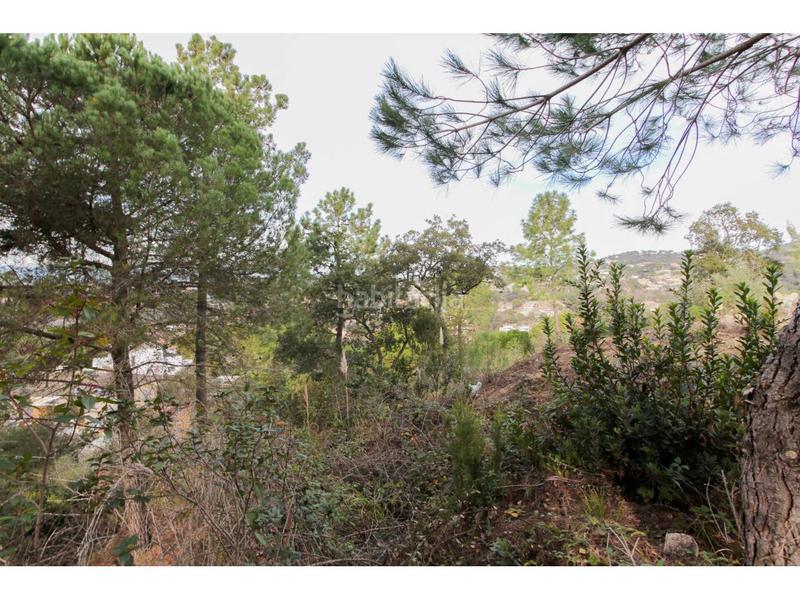 Foto f035de84-a1f5-4d20-9b78-e85f4ae39322. Rural plot in òrbita 1 in Lloret Residencial - Montlloret Lloret de Mar