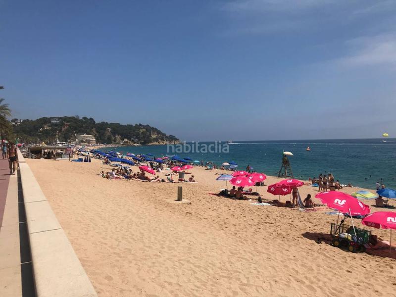 Foto 6ba1e431-88e6-40bd-8c29-23ff661072ca. Fondo rustico in calella de palafrugell 27 in Lloret Verd - Els Pinars Lloret de Mar