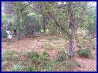 Finca rústica a Sant felip 759. Terreno en venta