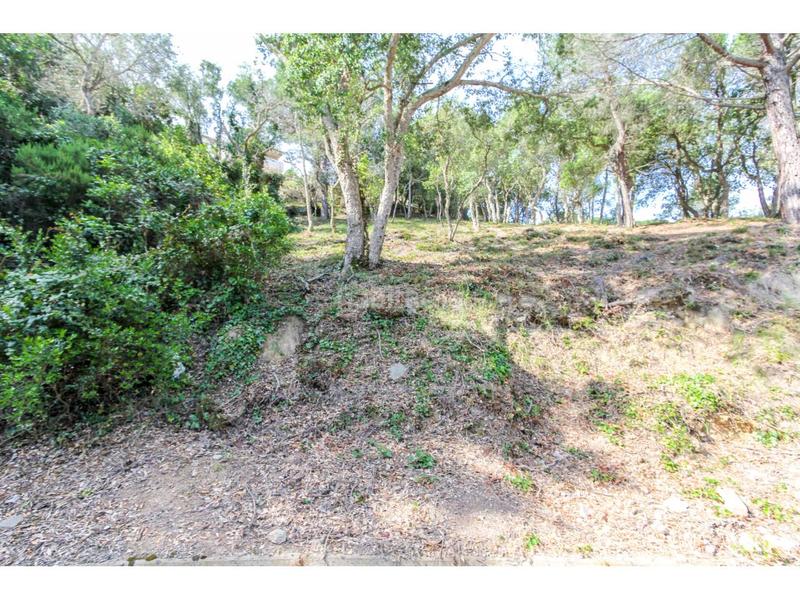 Foto 6e023fd3-2743-401e-8297-b4ffd3889f1c. Propriété dans illes 28 dans Serra Brava Lloret de Mar