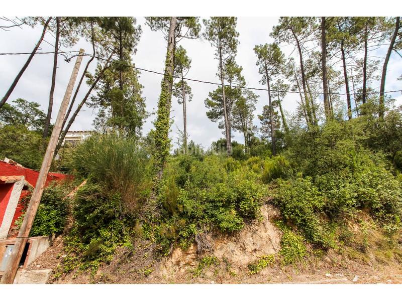 Foto 8ea36e07-7048-4b0a-928e-d2138886974f. Terreno residenziale in cadaqués 12 in Lloret Blau - La Creu de Lloret Lloret de Mar