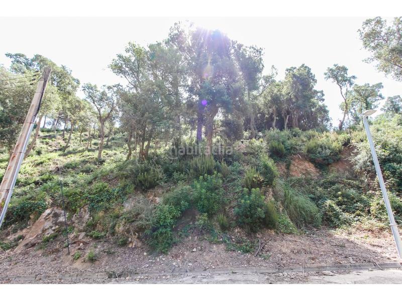 Foto 13cfdf19-aa1d-4657-b6ac-e040751191fc. Propriété dans illes 12 dans Serra Brava Lloret de Mar