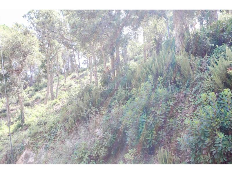 Foto 8b460cd4-5753-47d5-afd6-8a2c953b9e2d. Propriété dans illes 12 dans Serra Brava Lloret de Mar