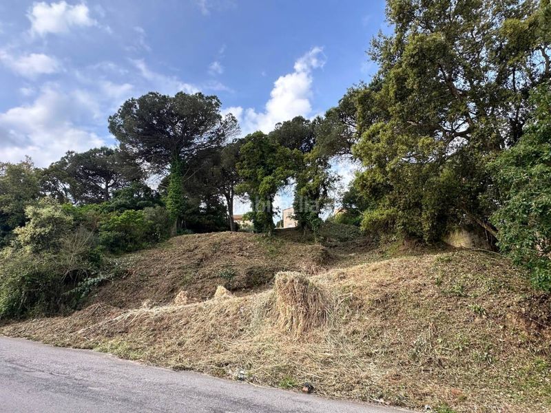 Foto b7a84b5a-3adb-4b17-9461-78b3834bf4f1. Finca rústica a avenida mil·lenni 22 a Lloret Residencial - Montlloret Lloret de Mar