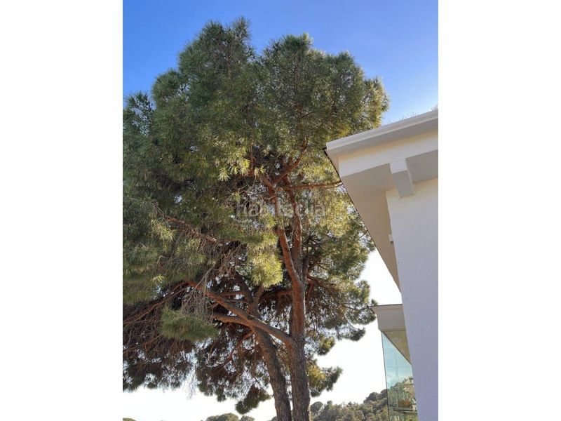 Foto fe1b5607-4947-4f90-9fea-77302976bfac. Casa a pasaje clavellines 2 a Serra Brava Lloret de Mar