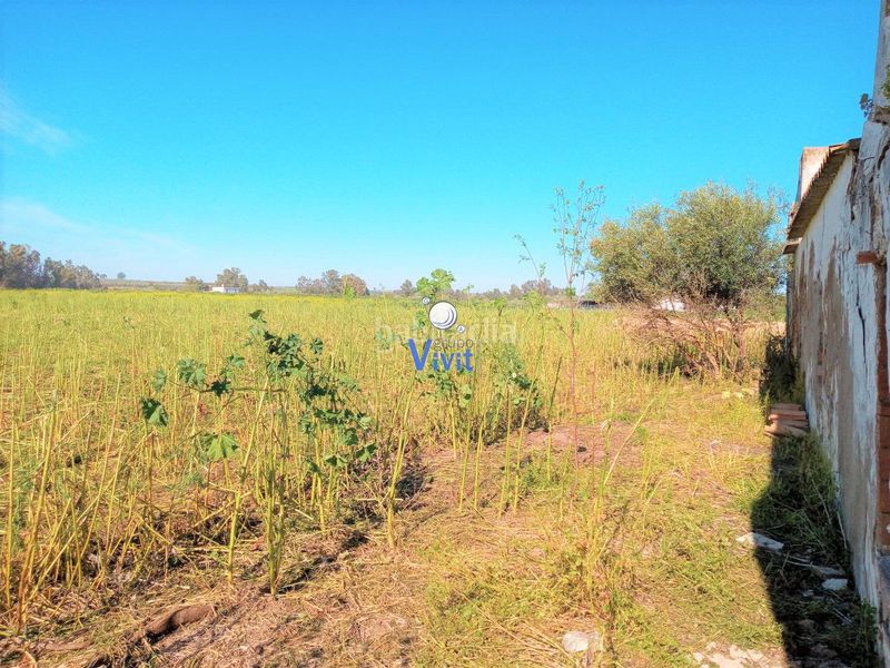 Foto ff35a29c-b87d-4d00-b9c2-0f748998678e. Masia a Mairena del Alcor