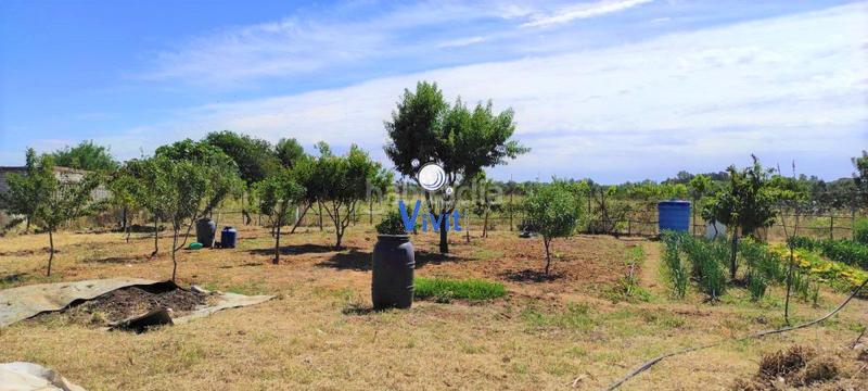 Foto 310eb5ea-6d30-458f-a9c4-998bc572e71c. Terreno residenziale in Pedanías Sur Utrera