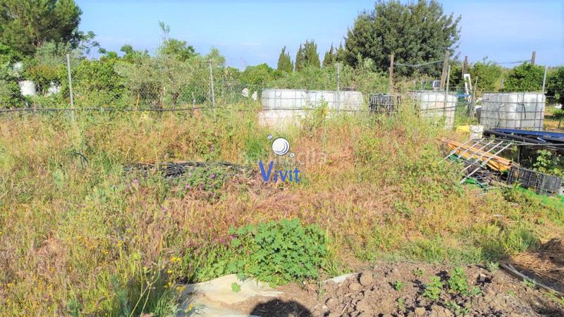 Foto 3bc73d24-f9e1-4820-bc36-13e89556105a. Terreno residenziale in Pedanías Sur Utrera