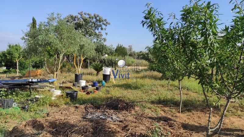 Foto 52497b5a-690b-4f44-aa2b-fcc56e465de1. Terreno residenziale in Pedanías Sur Utrera