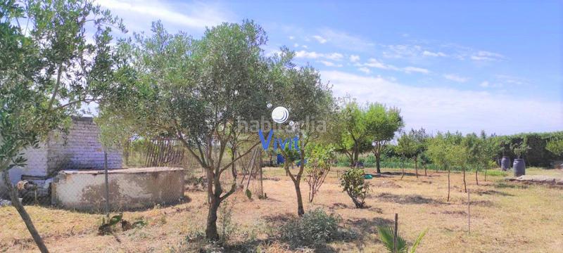 Foto 7cb64189-364d-44d5-82ac-c34871b902ea. Terreno residenziale in Pedanías Sur Utrera