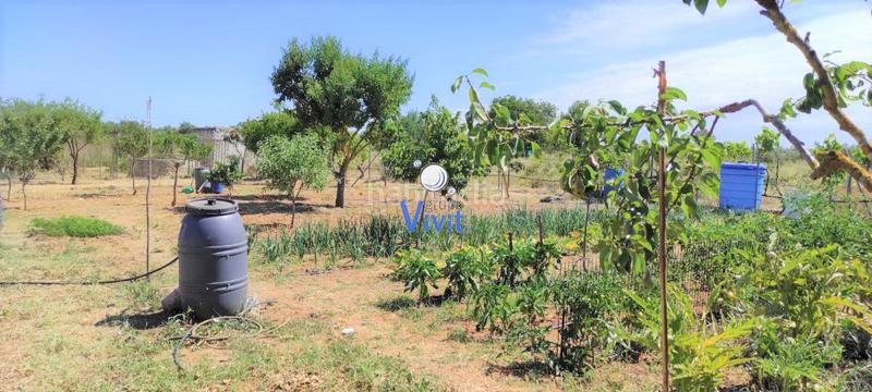Foto d39ccaab-f931-4623-95b9-266859f6c21d. Terreno residenziale in Pedanías Sur Utrera