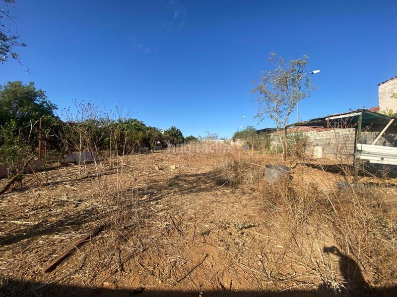 Foto c48e1c6f-3135-43b6-8dc4-6d774515b78a. Terreno residenziale in Oromana Alcalá de Guadaira