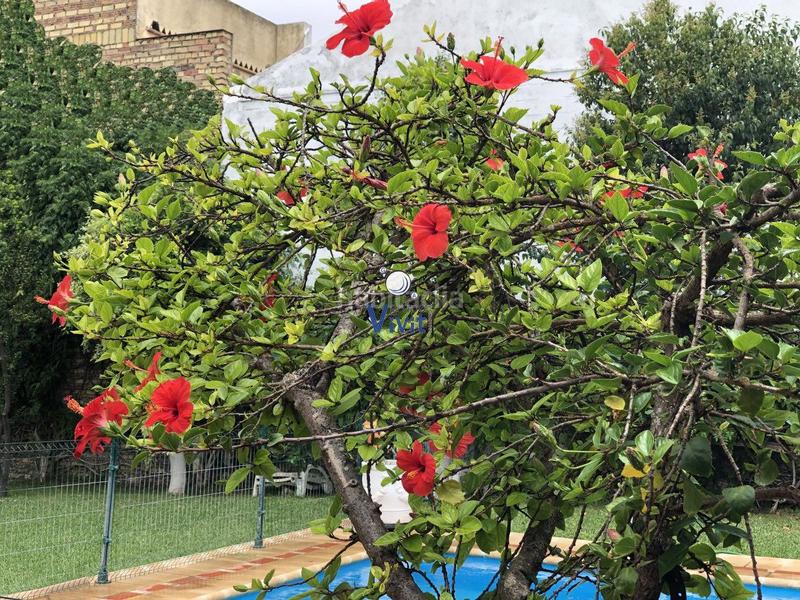 Foto 4d639946-1990-40d3-919a-c06f160e8f51. Chalet con parcheggio in La Paz Alcalá de Guadaira