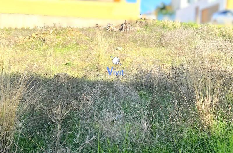 Foto d6b6ea4f-da31-49ea-8c6f-1df1a73ebf14. Terrain résidentiel dans Los Molinos Alcalá de Guadaira