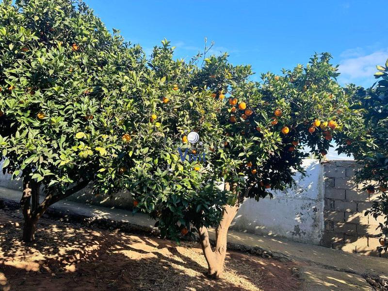 Foto 25f5ad0b-1428-40a4-b42e-7c78704759bd. Chalet con parcheggio piscina in Nueva Alcalá Alcalá de Guadaira