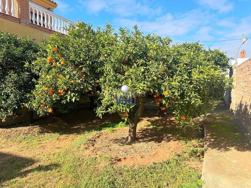 Foto afc5e64b-442f-48eb-b1d6-50d1665f6d2b. Chalet con parcheggio piscina in Nueva Alcalá Alcalá de Guadaira