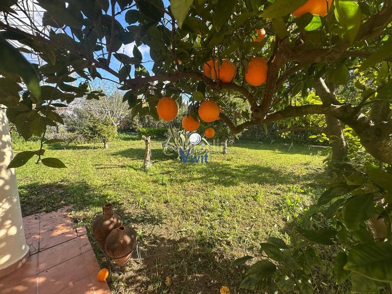 Foto 58fb567a-166e-4398-91ae-46d99040b34a. Xalet amb aparcament a Oromana Alcalá de Guadaira