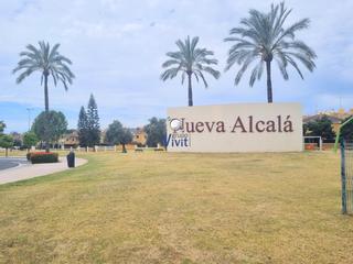 Business premise in Nueva Alcalá