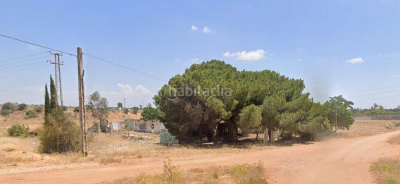Foto 7cc23421-da7a-45f9-8082-bfac11214d54. Terrain résidentiel dans Oromana Alcalá de Guadaira