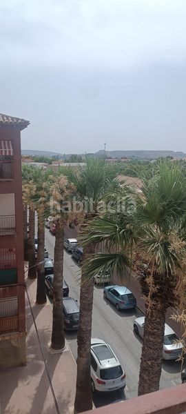 Foto 1691c5bb-ef2e-4962-9afc-1f91ead3a5b5. Pis a Mula