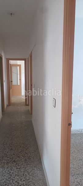 Foto 32485e21-6204-40cb-a8ed-40a9df1890f6. Pis a Mula
