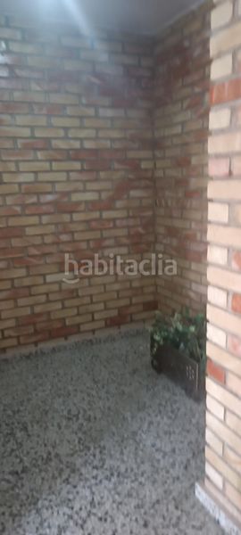 Foto 4242e287-bb4d-4e61-9388-0e2b737dba65. Pis a Mula