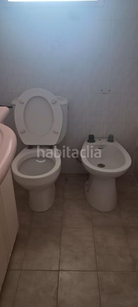 Foto 86637a0b-54dc-4332-bbfe-9d3d0c3de93b. Pis a Mula