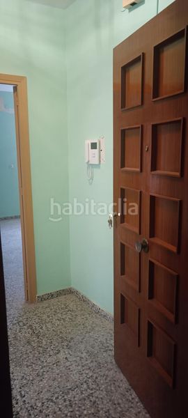 Foto a3b72ef3-1db1-4dac-8ba4-160ae438a81b. Pis a Mula