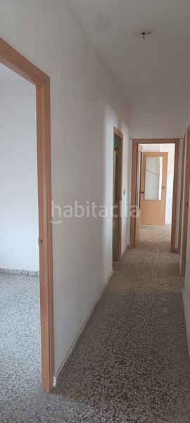 Foto ddda6d56-340c-416e-8121-6edb5fb61b26. Pis a Mula