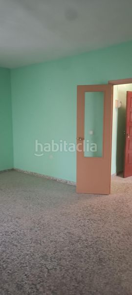Foto e26aab32-d5a7-4c34-aee9-5238278c6a80. Pis a Mula