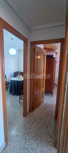 Foto 0b3535d6-8721-453f-9ffa-c57c9baafbef. Pis a Mula