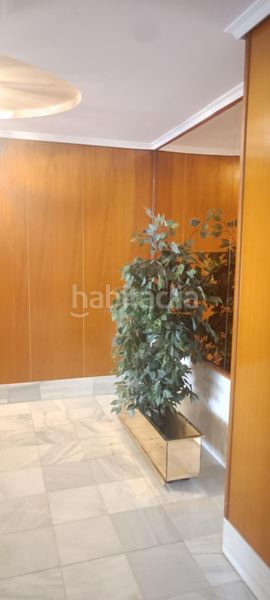Foto 4199c1ac-69e7-43c3-8789-ebbfe7bdfce5. Pis a Mula