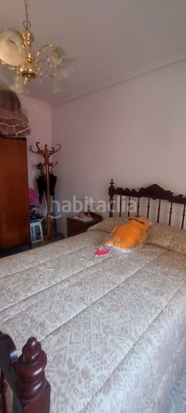 Foto 4a9c4ae9-f20c-4f38-9514-830889f44fb9. Pis a Mula