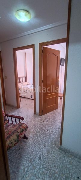 Foto 8df13c21-18bd-47e9-b27b-c153f2f41313. Pis a Mula