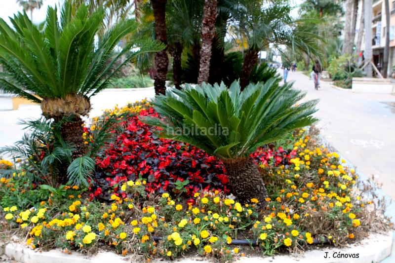 Foto f76d76ab-0824-4bc1-8132-da92a1fe3689. Affitto piccolo appartamento con parcheggio piscina in Estepona