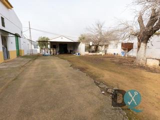 Mas à Carmona. Finca en venta en carmona  oportunidad única