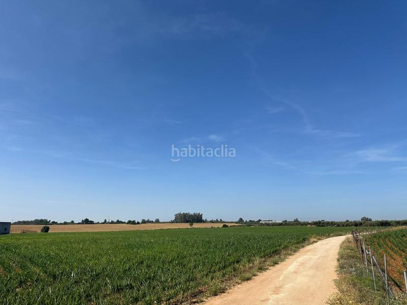 Foto 0d144ac4-2c51-4cd0-8262-6bb0ef8847a3. Fondo rustico in Centro Utrera