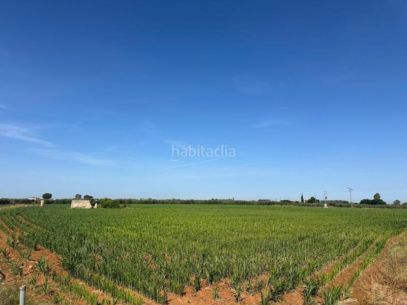 Foto 45db60e9-db81-43cd-a832-c7ffa8fa23f0. Fondo rustico in Centro Utrera