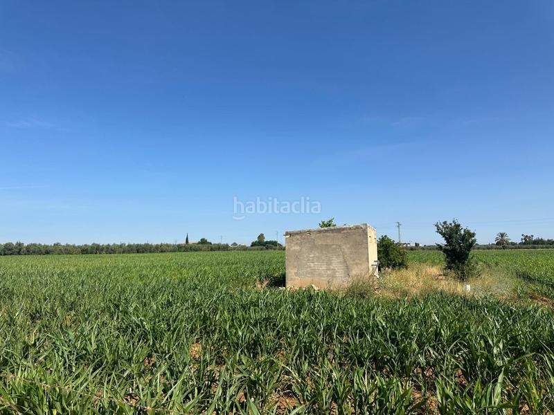 Foto e74f57c5-9449-477c-858d-5669abaaff62. Fondo rustico in Centro Utrera