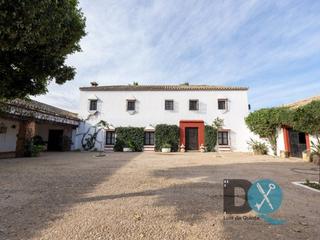 Masia a Coria del Río. Venta de finca con 7 hectáreas de regadío y cortijo en ple