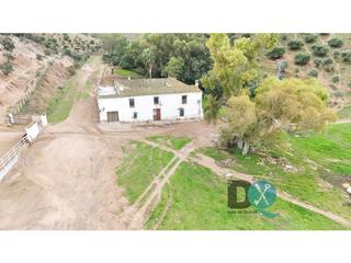Masia a Morón de la Frontera. Venta de finca agrícola y ganadera en el municipio de moró