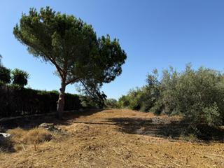 Terreno residencial en Centro. Solar urbano a 1km de utrera
