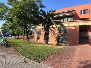Lloguer Pis  Avenida de jerez. Piso en alquiler en la palmera  manuel siurot, sevilla