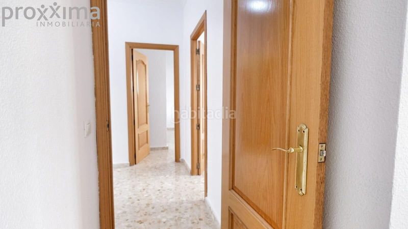 Foto a894b5fd-cd9b-47c4-aa7b-fae61f13715e. Pis a Palmete Sevilla