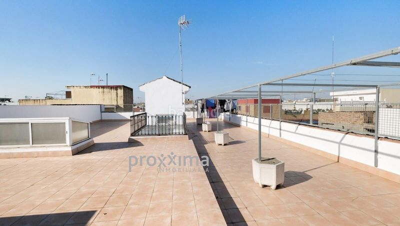 Foto ea4ad33b-3a39-4a85-9eb8-fc7661f8b9a9. Pis a Palmete Sevilla