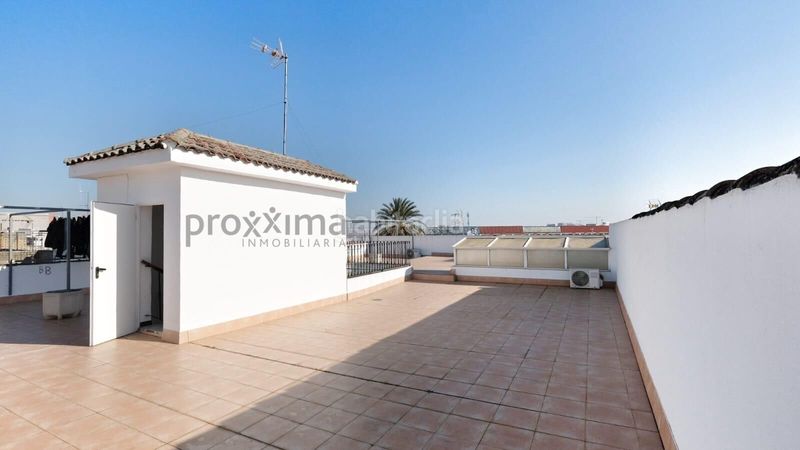Foto ee967201-e918-4df4-85c5-ed4073529439. Pis a Palmete Sevilla