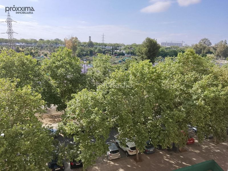 Foto ddba4c1e-8ce6-4261-8952-b542185d0568. Pis amb aparcament piscina a Pino Montano - Consolación Sevilla