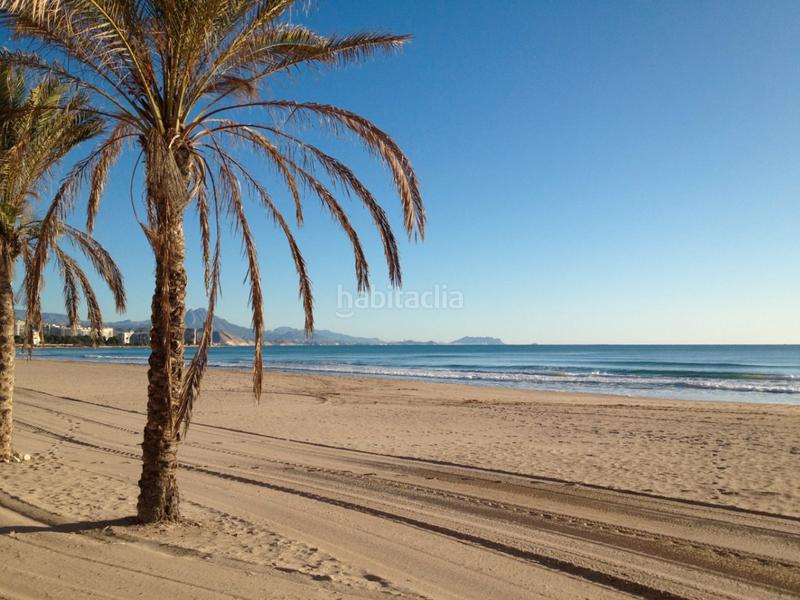 Foto 81c73134-5f09-479a-9553-b0d6abf6f88f. Apartment with parking pool in Playa Muchavista Campello (el)