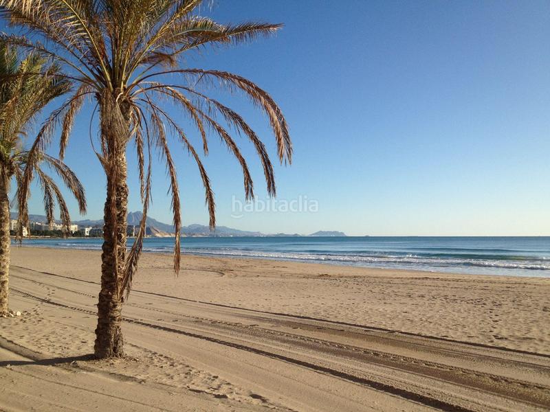 Foto 0d06e12e-8356-48b1-bae3-2b0f6355a207. Locale commerciale in Campello Playa Campello (el)